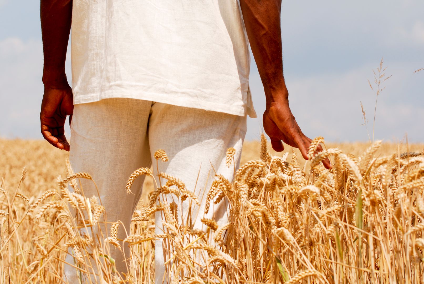 Touching the wheat